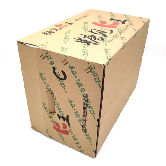 Custom Corrugated Paper Folding Carton Box with Cardboard Insert