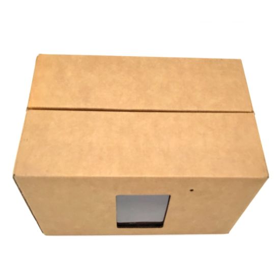 Food Packaging Paper Carton Box with Antifogging Window