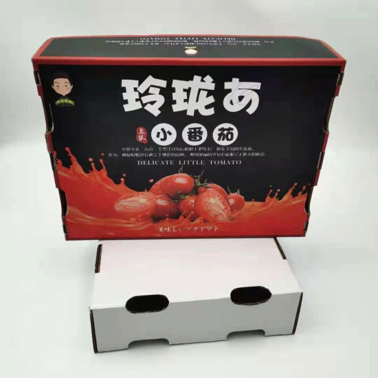 Custom Packaging Paper Printing Box